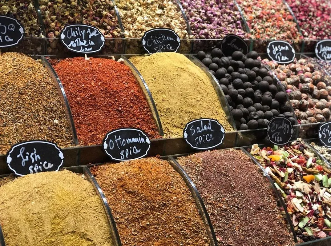 8 Days Turkey Family Adventure: Istanbul, Ephesus & Kusadasi Private Tour — photo 6