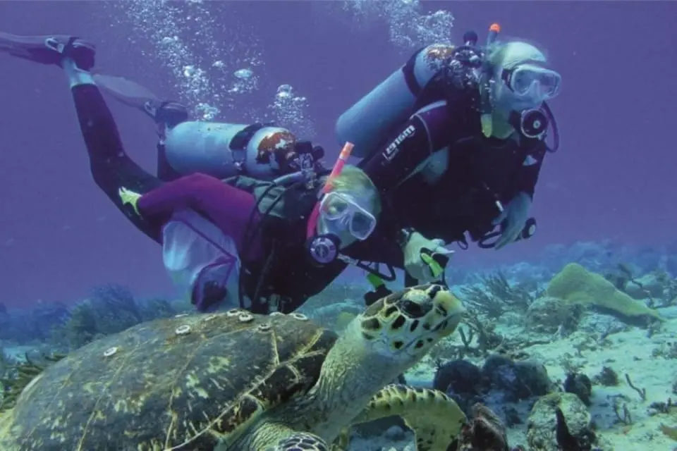 Diving Tour