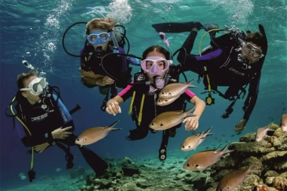 Diving Tour
