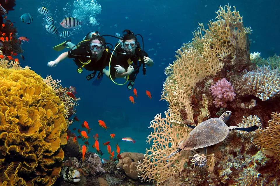 Diving Tour