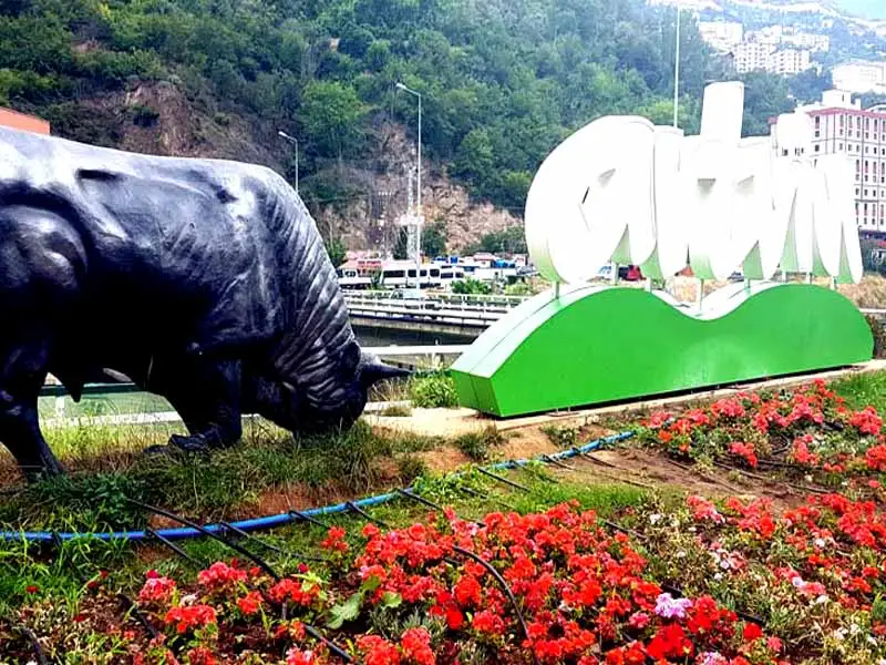 Artvin Borcka Karagol Day Tour — photo 6
