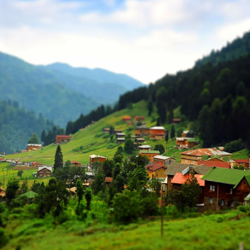 Ayder Plateau & Fırtına Valley Day Tour — photo 2