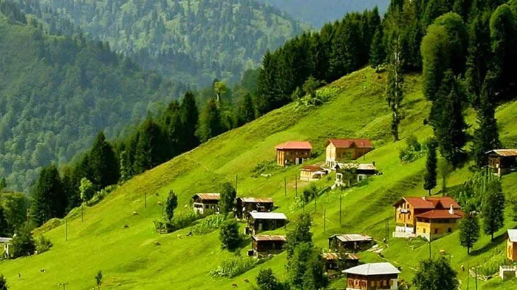 Ayder Plateau & Fırtına Valley Day Tour — photo 8