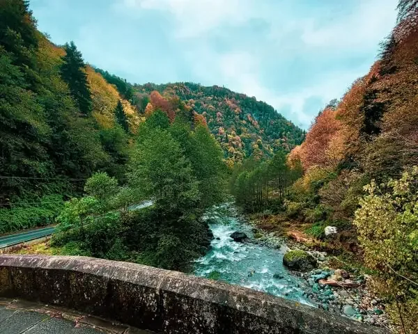 Ayder Plateau & Fırtına Valley Day Tour — photo 11