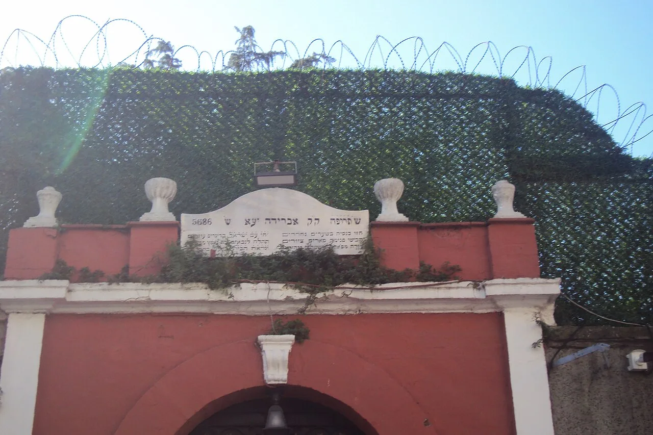 Daily Balat Walk from Istanbul – Synagogues, Churches & Tekfur Palace — photo 4