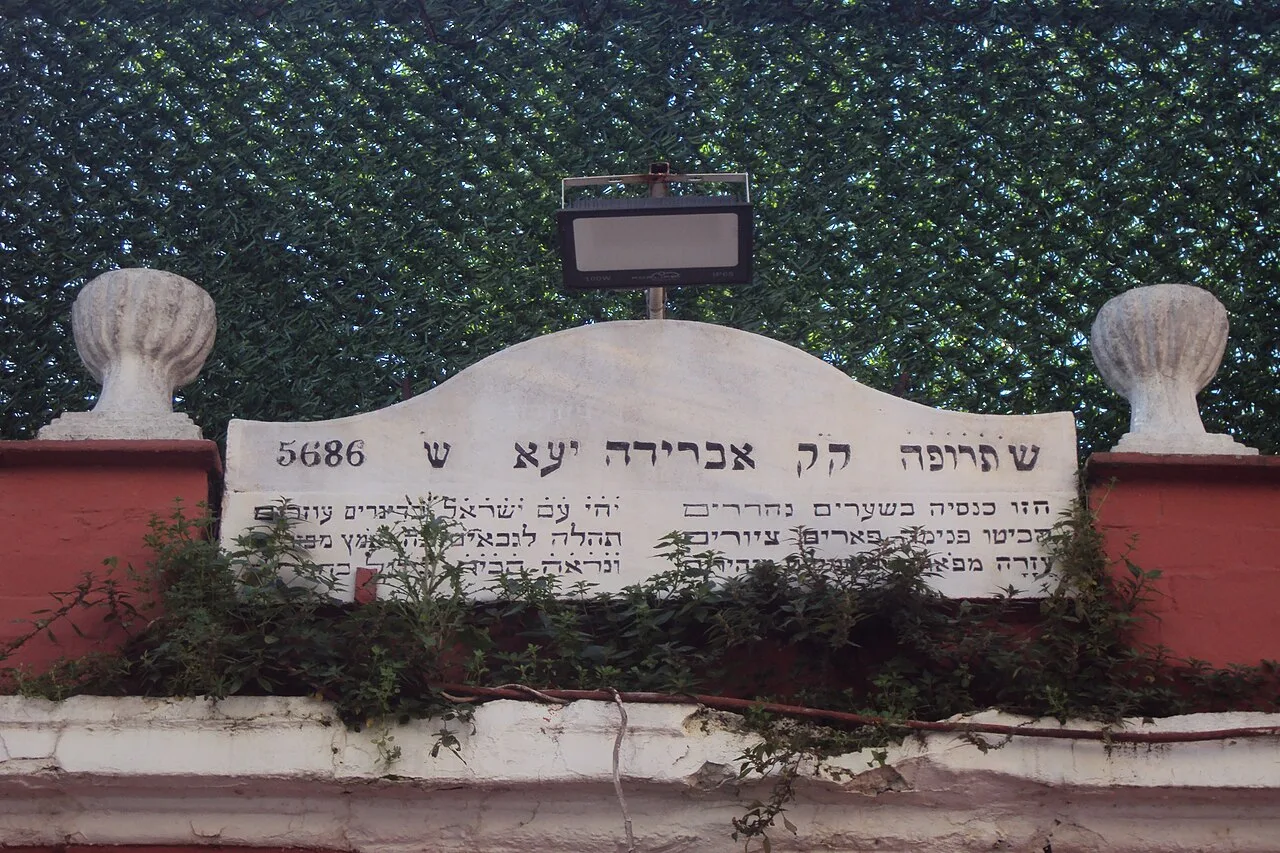 Daily Balat Walk from Istanbul – Synagogues, Churches & Tekfur Palace — photo 10