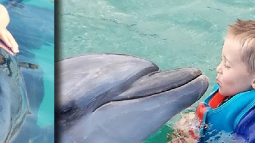 Bodrum Dolphin Show Tour — photo 5