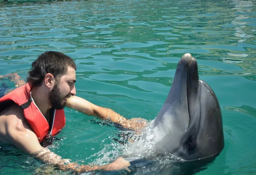 Bodrum Dolphin Show Tour — photo 7