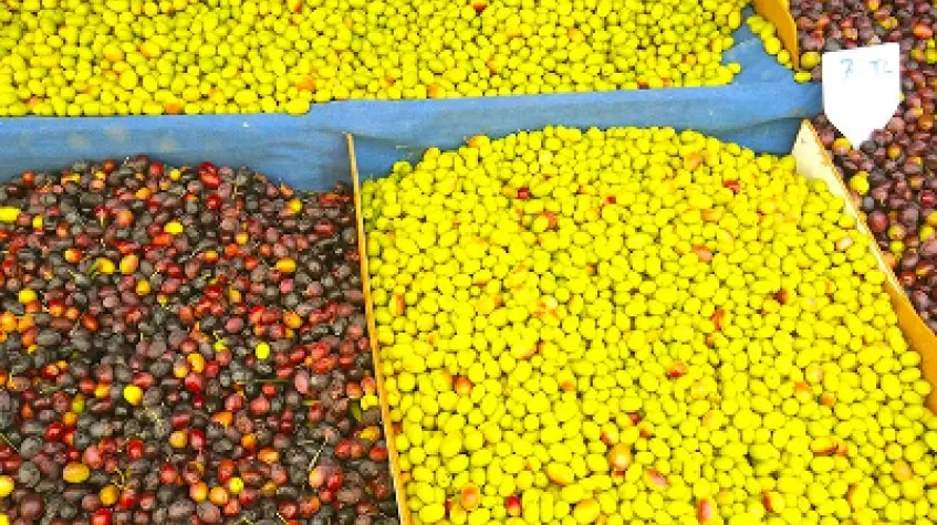 Turgutreis Market Tour from Bodrum – Local Bazaar Shopping & Souvenirs