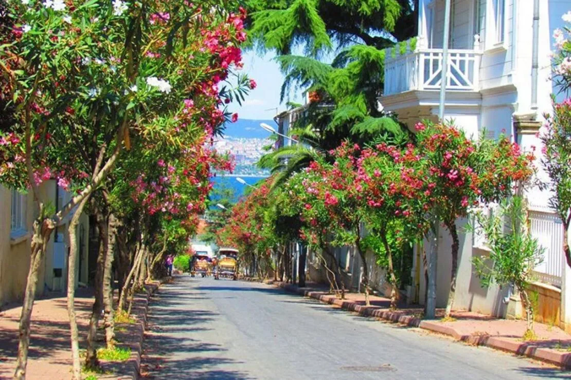 Bosphorus & Princes' Islands Private Yacht Tour from Istanbul