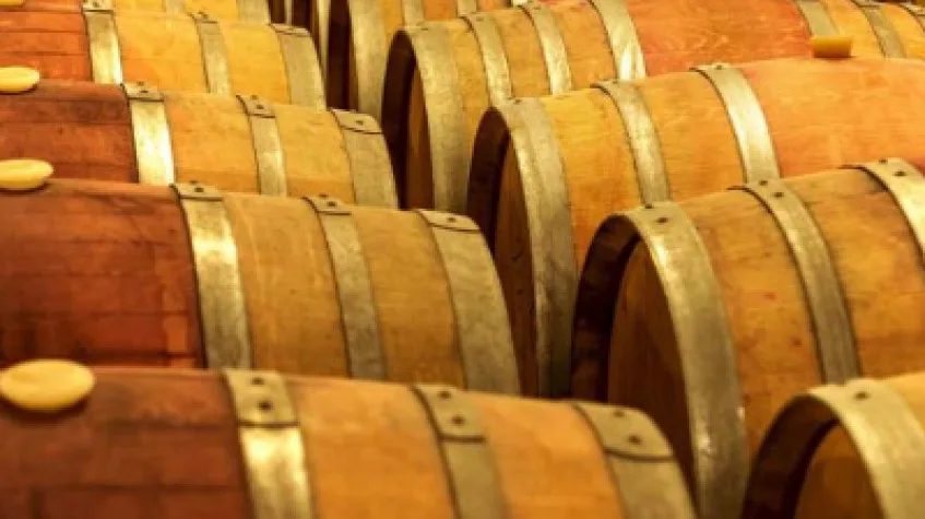 Wine Tasting Tour from Cappadocia – Local Vineyards & Turasan Winery (Shared) — photo 3
