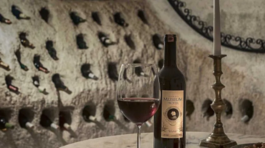 Wine Tasting Tour from Cappadocia – Local Vineyards & Turasan Winery (Shared) — photo 4