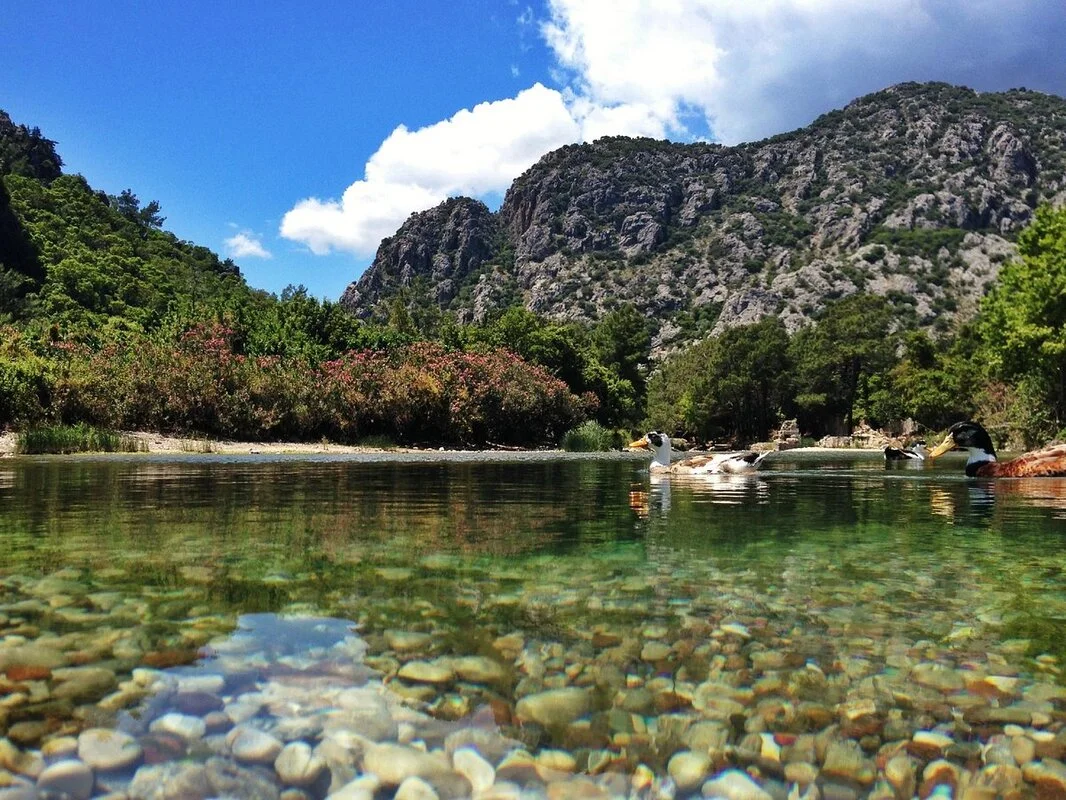 Chimaera (Yanartas) Flames Tour from Kemer (Shared) — photo 8