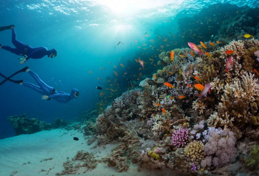 Scuba Diving Day Trip from Alanya – Two Mediterranean Dives
