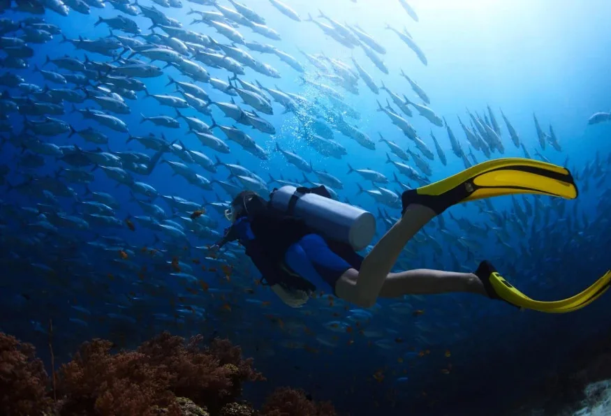 Scuba Diving Day Trip from Alanya – Two Mediterranean Dives — photo 2
