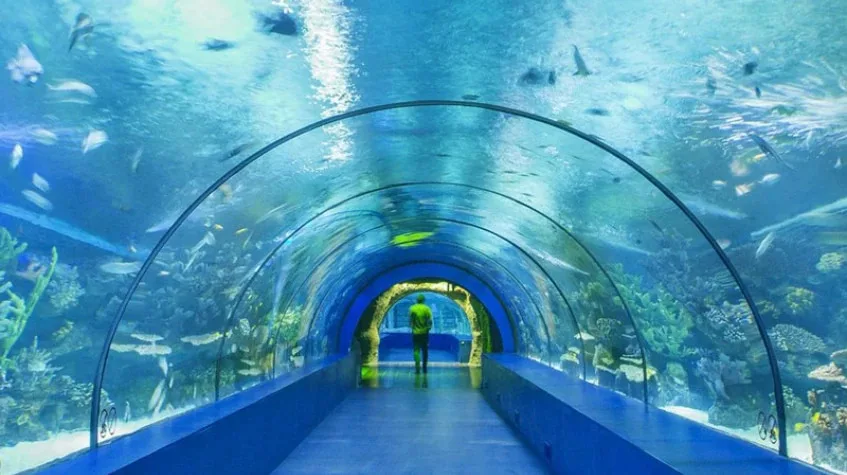 Antalya Aquarium Tour – Skip the Line Tunnel Aquarium (Shared) — photo 4