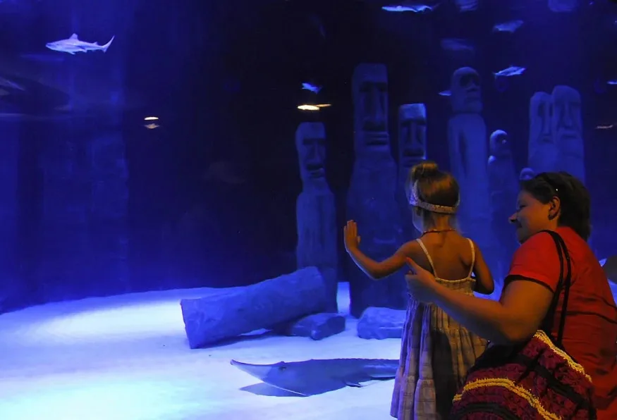 Antalya Aquarium Tour – Skip the Line Tunnel Aquarium (Shared) — photo 6