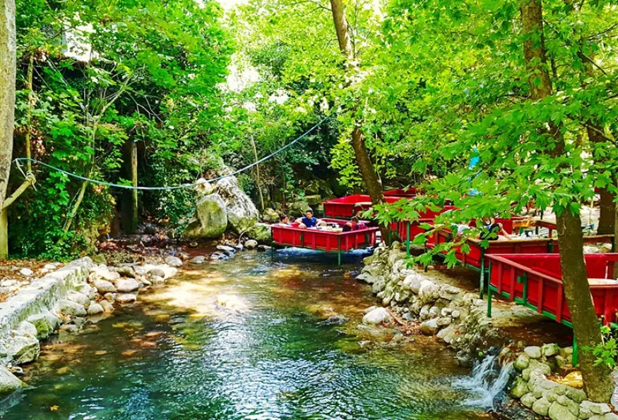 Daily Phaselis, Olympos & Chimera Tour from Antalya – Beach Time (Shared) — photo 4