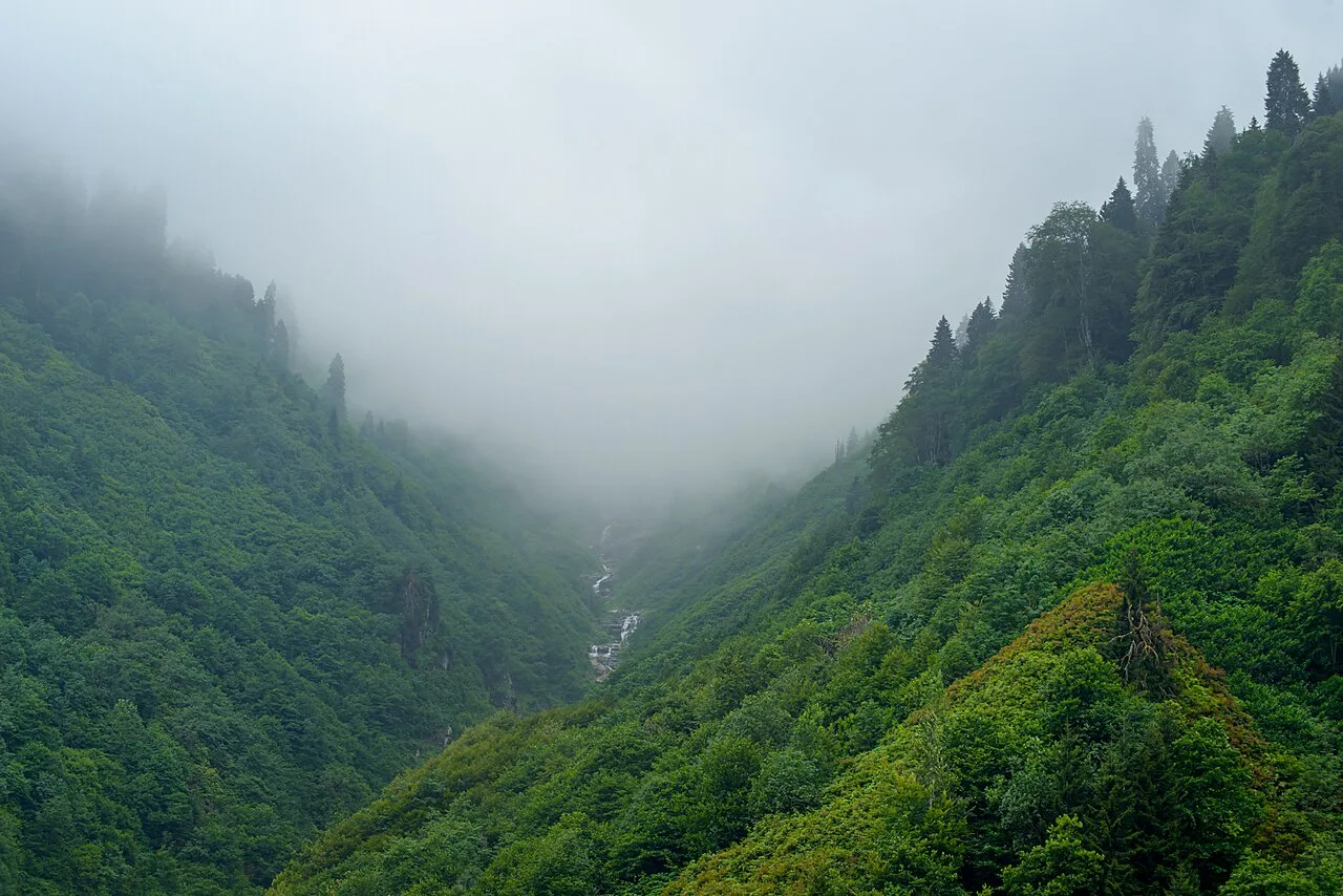 Daily Ayder Highland Tour from Trabzon with Rize Cloth Workshop — photo 7