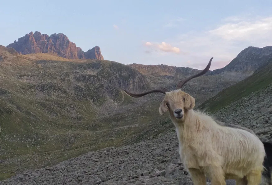 Daily Ayder Tour from Erzurum – Kaçkar Mountains & Zil Castle — photo 8