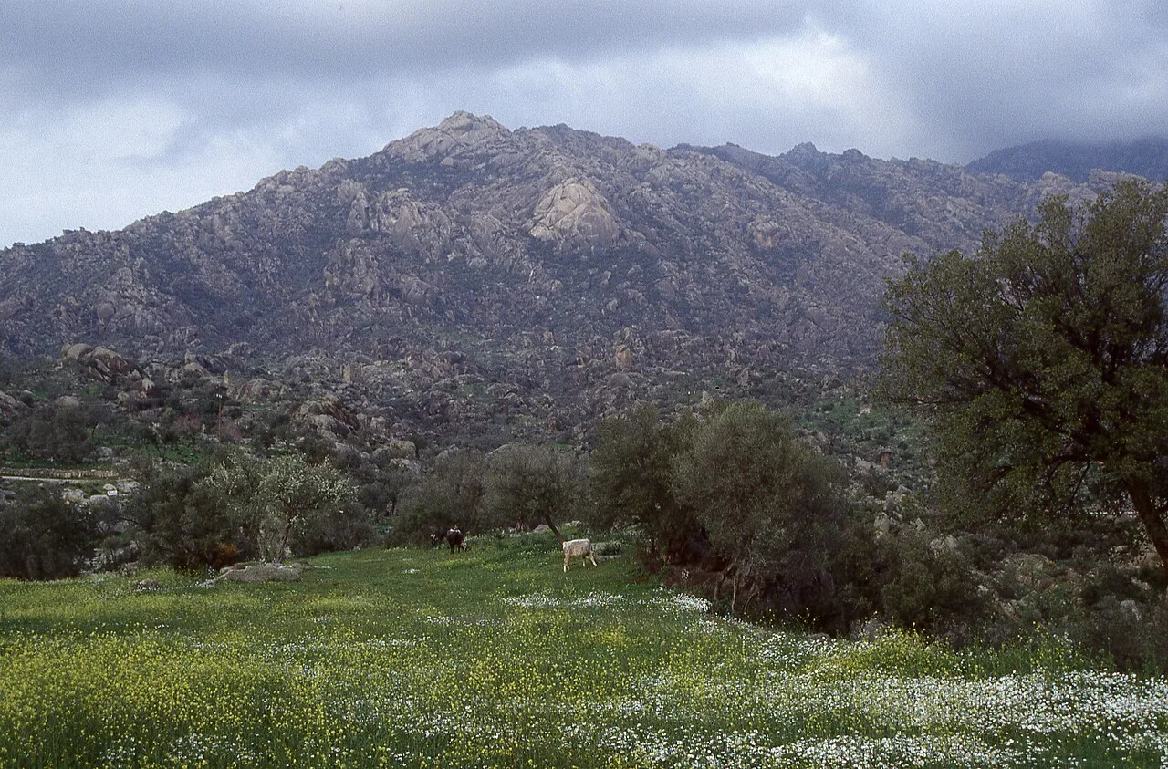 Daily Bafa Lake Tour from Kusadasi – Herakleia & Mount Latmos — photo 6