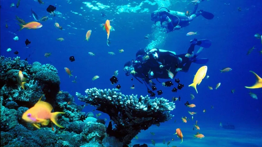 Daily Scuba Diving Tour from Didim – Boat Trip, Guided Dive & Lunch — photo 3