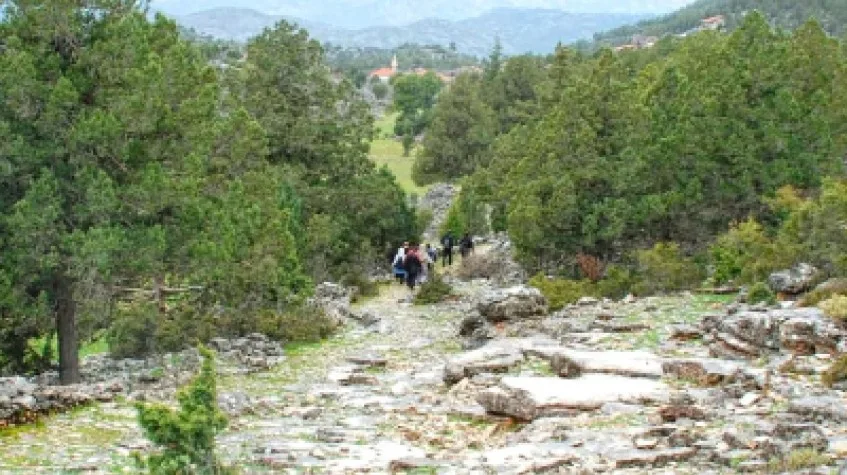 Daily Bodrum Trekking Tour — photo 3