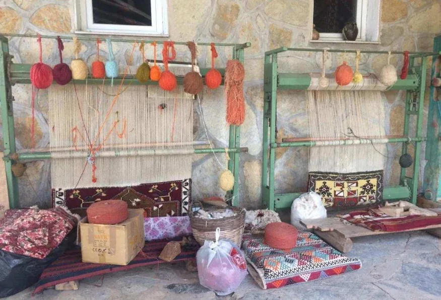 Daily Village Tour from Bodrum – Rural Life, Local Homes & Handmade Kilims — photo 3