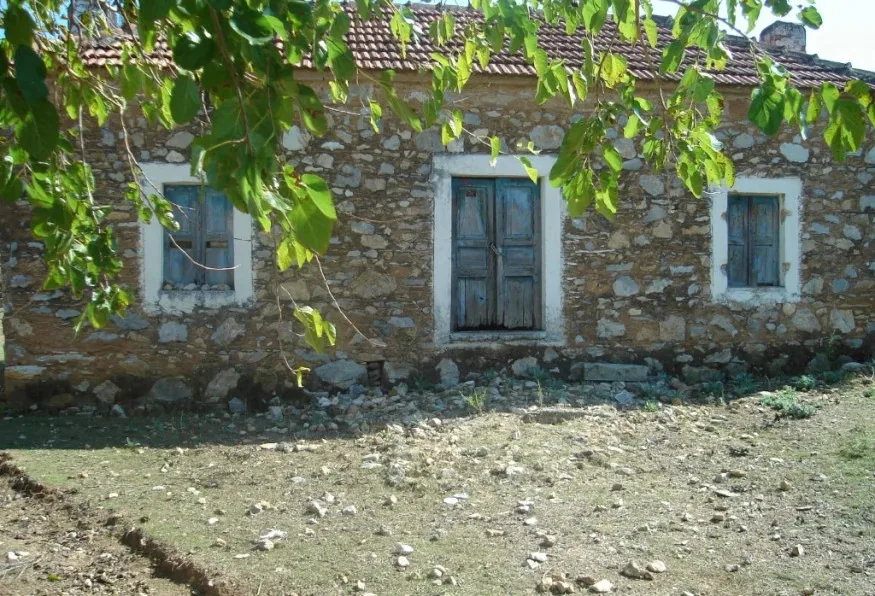 Daily Village Tour from Bodrum – Rural Life, Local Homes & Handmade Kilims — photo 4