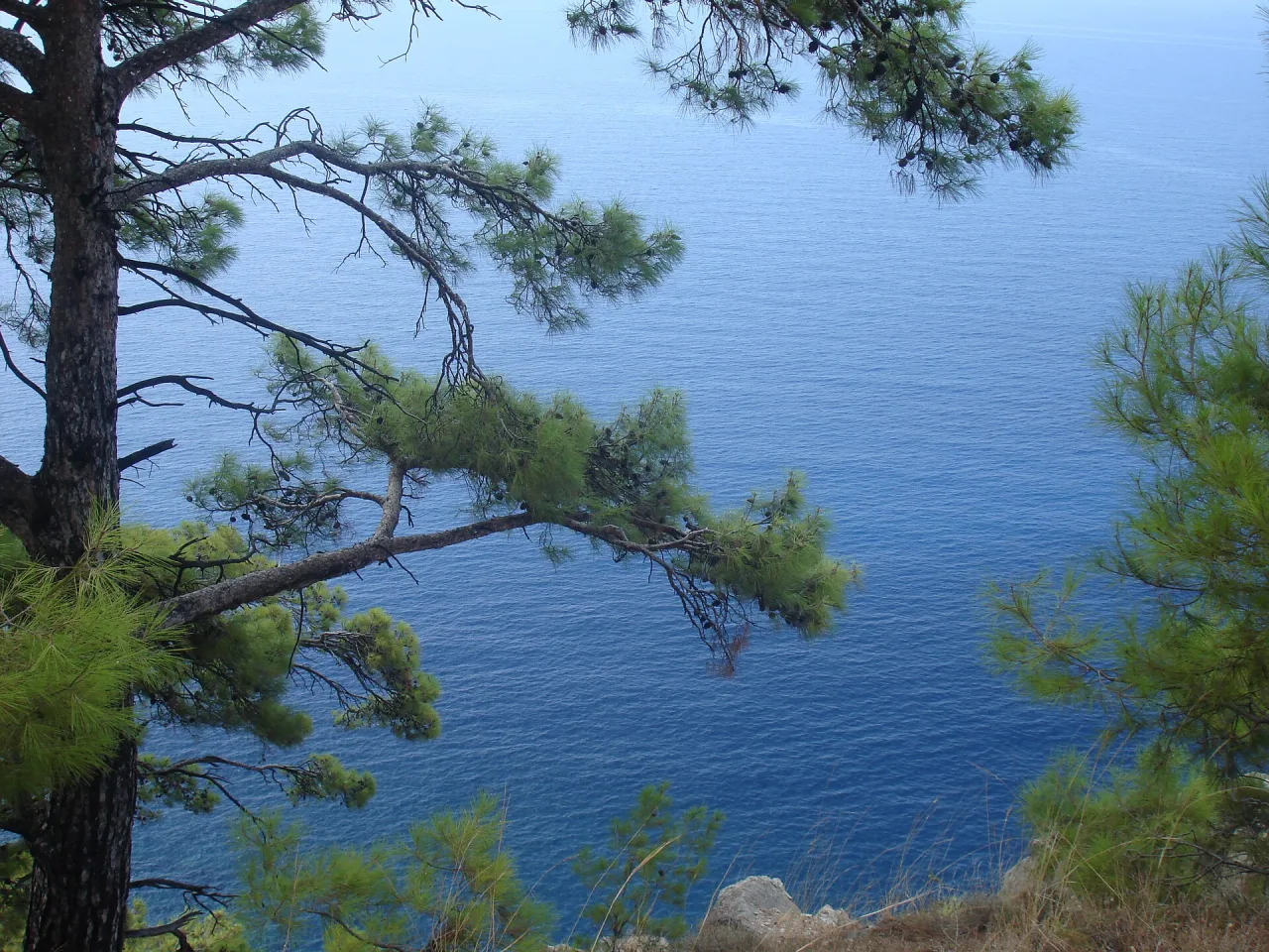 Daily Butterfly Valley Boat Cruise from Oludeniz — photo 10