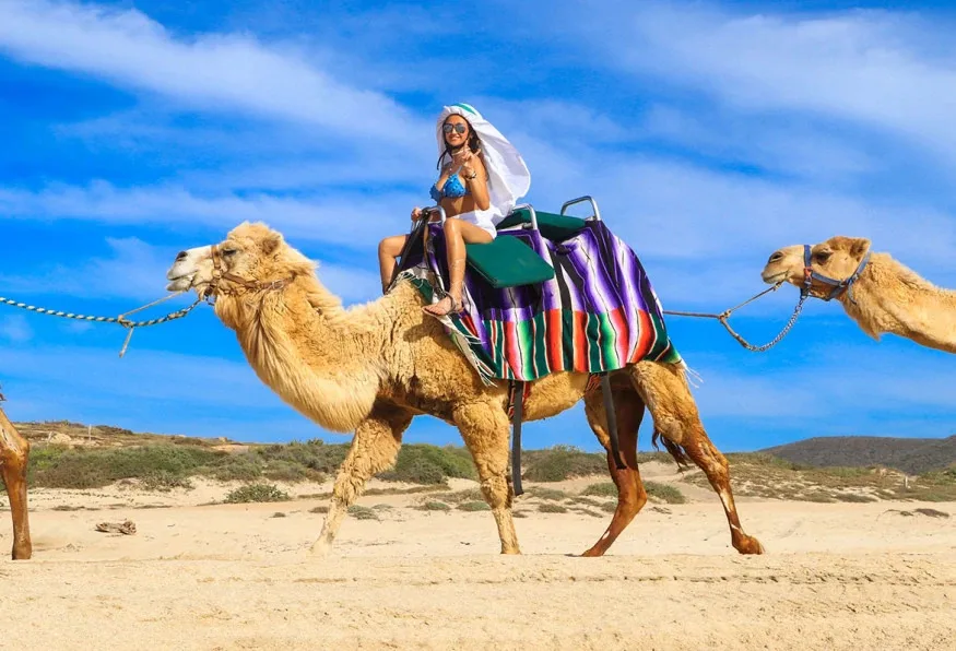 Daily Camel Riding Tour from Fethiye – Camel Trek through Kayakoy — photo 2