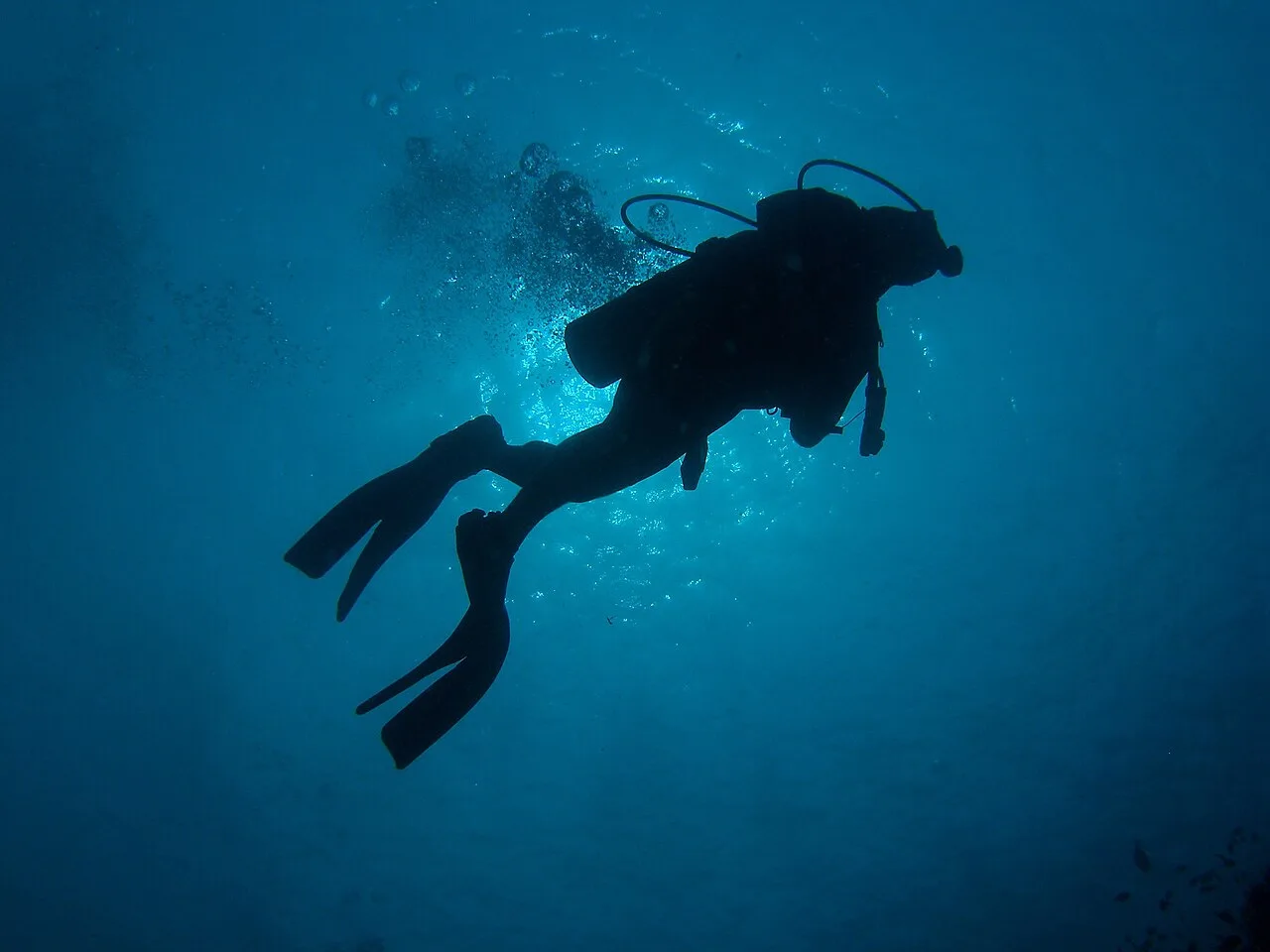 Daily Cesme Scuba Diving Tour from Cesme – Aegean Dive for All Levels — photo 5