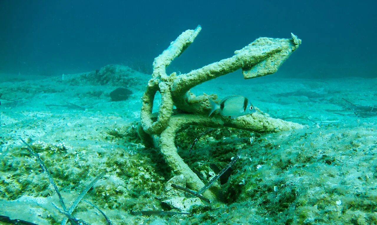 Daily Cesme Scuba Diving Tour from Cesme – Aegean Dive for All Levels — photo 6
