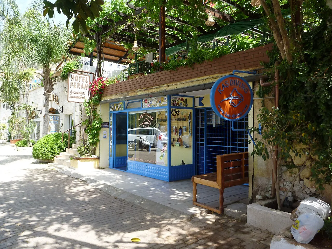 Daily Cesme Scuba Diving Tour from Cesme – Aegean Dive for All Levels — photo 11