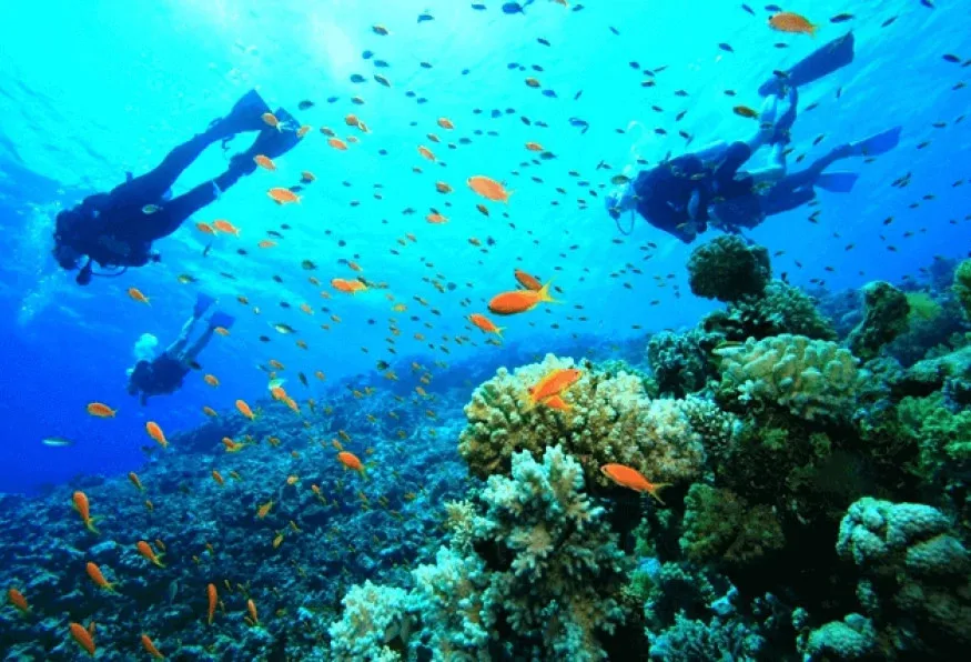 Daily Cesme Scuba Diving Tour from Cesme – Aegean Dive for All Levels — photo 3