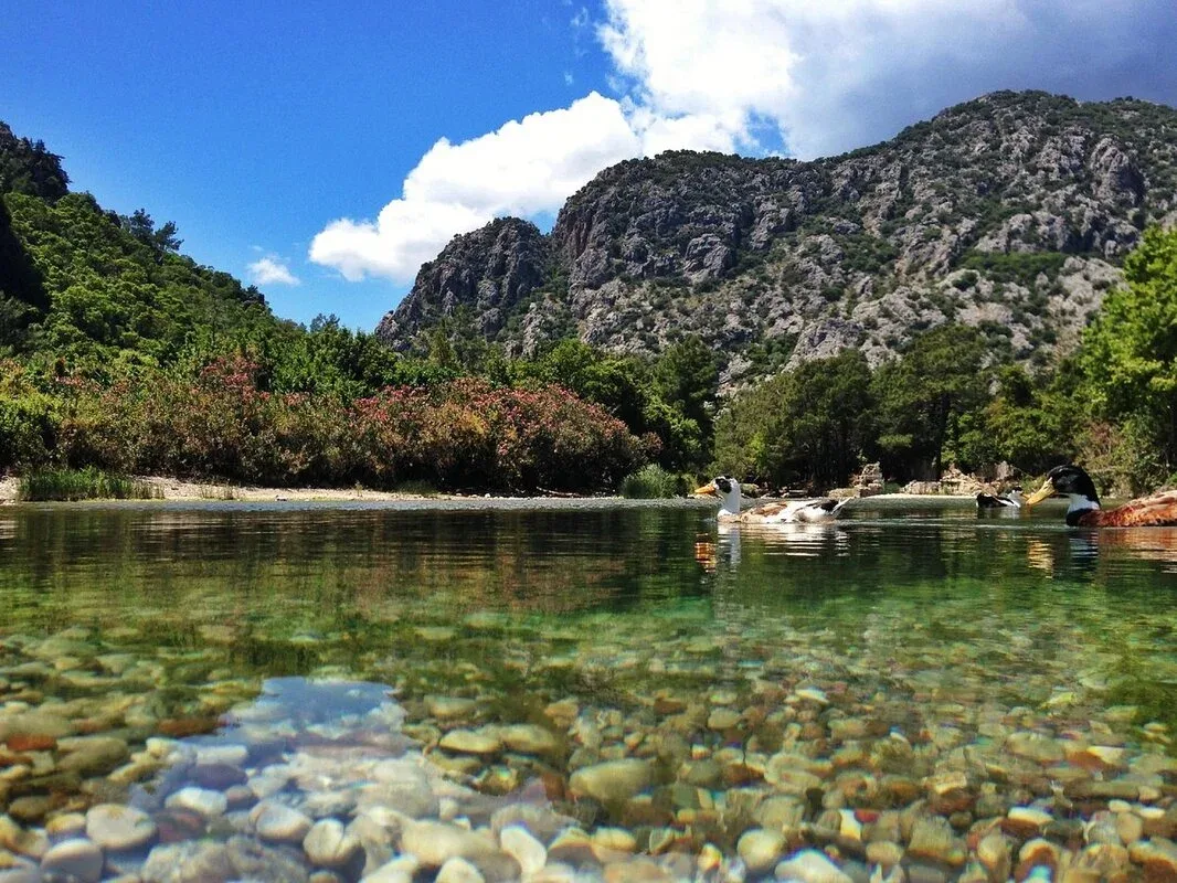 Daily Chimera Tour from Manavgat – Eternal Flames of Yanartas & Olympos — photo 10