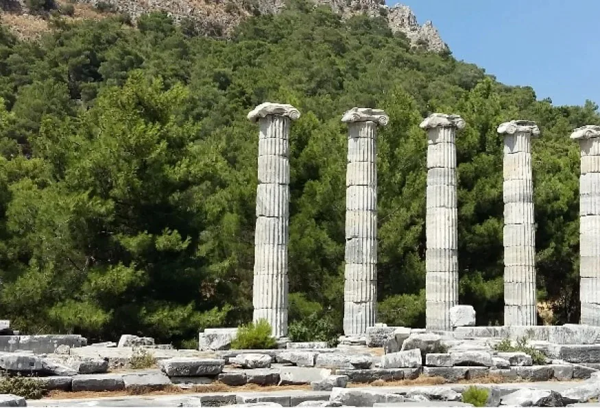 Daily Priene, Miletus & Didyma Tour from Didim – Temple of Apollo — photo 2