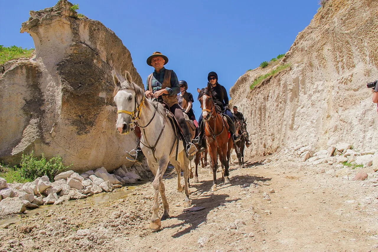 Daily Horse Safari Tour from Didim – Guided Countryside Horse Riding