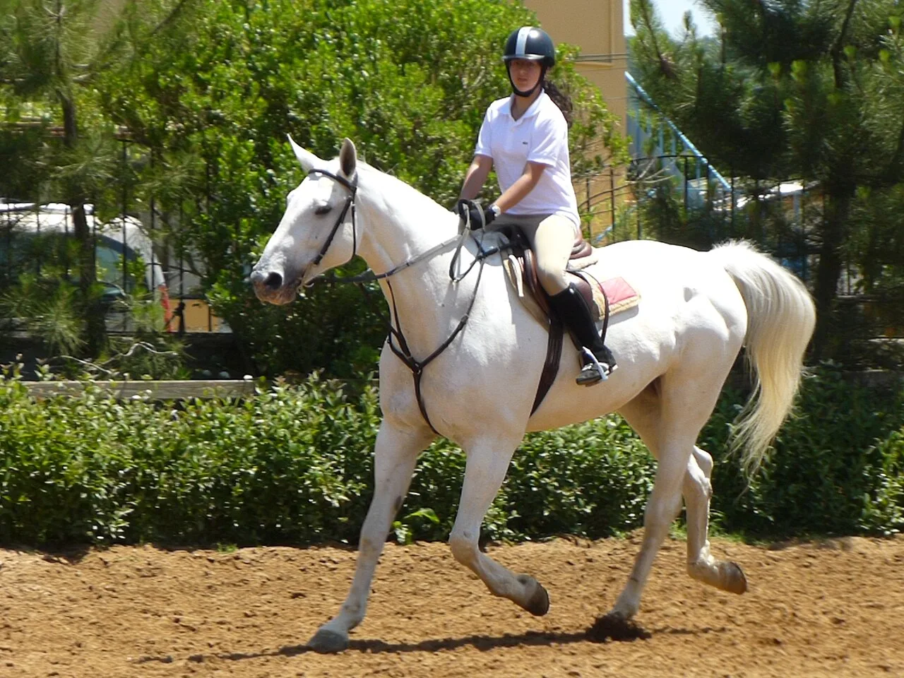 Daily Horse Safari Tour from Didim – Guided Countryside Horse Riding — photo 5