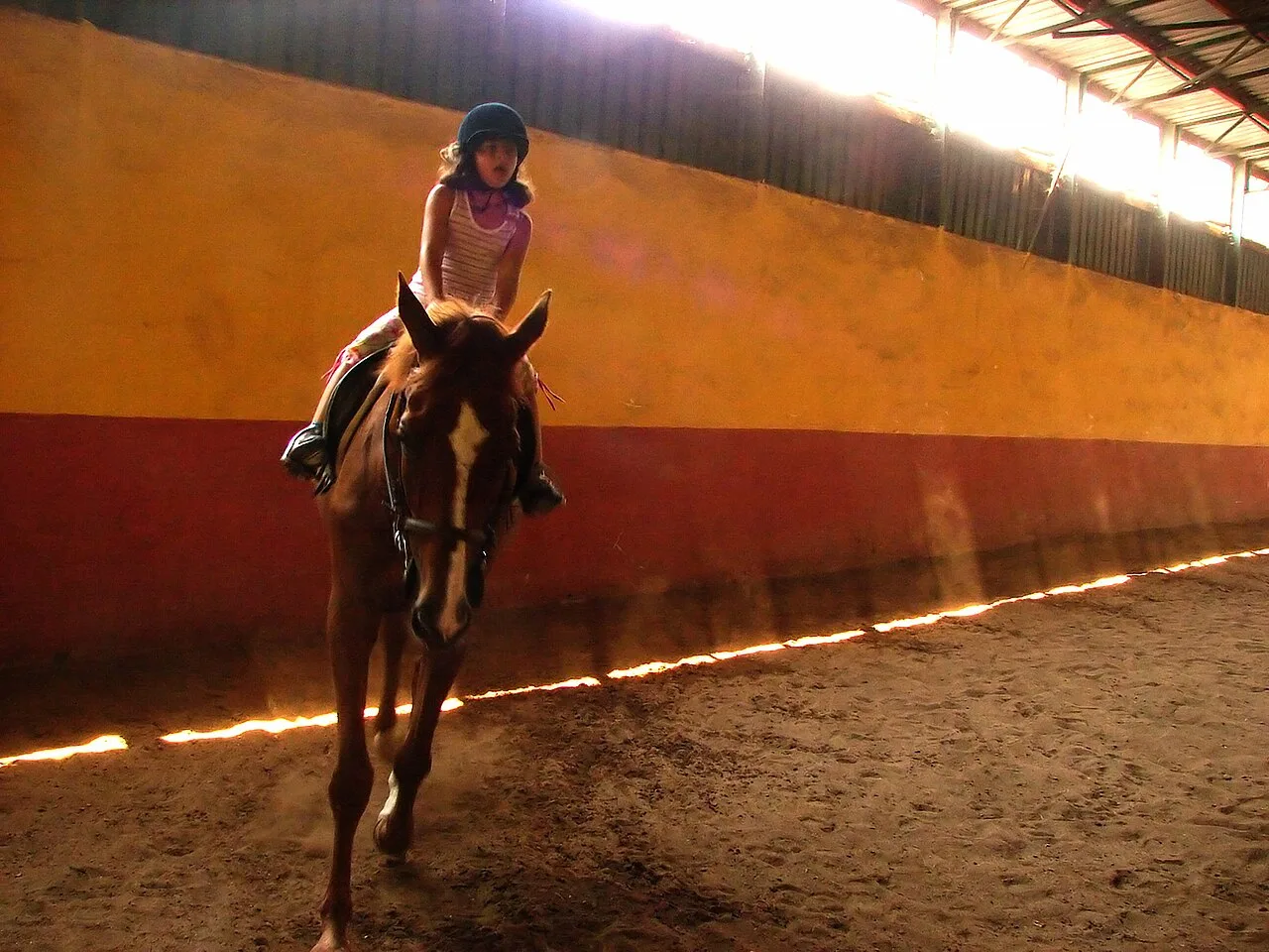 Daily Horse Safari Tour from Didim – Guided Countryside Horse Riding — photo 6