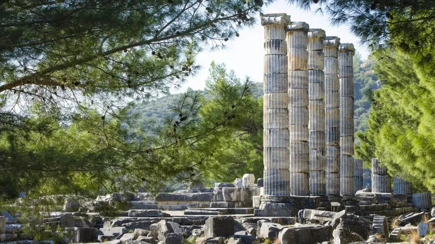 Daily Didyma, Miletus & Priene Tour from Selcuk – Temple of Apollo — photo 6