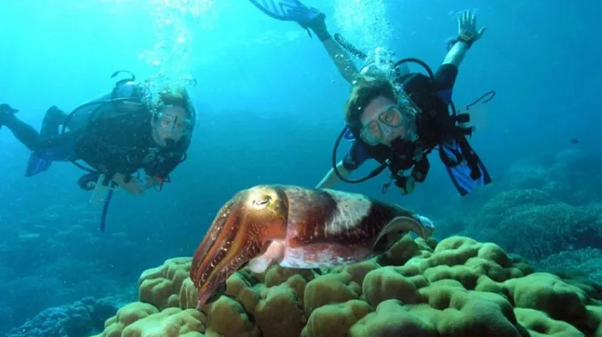 Daily Diving Tour from Kemer – Scuba for All Levels — photo 2