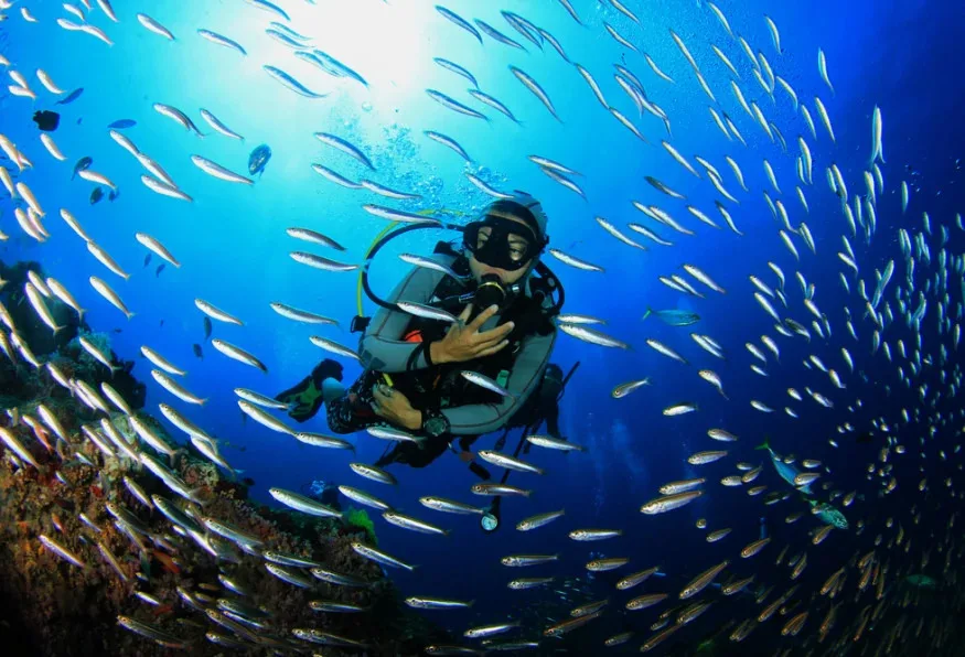 Daily Dalyan Diving Tour from Mugla – Delik Island & Vatoz Bay Dives
