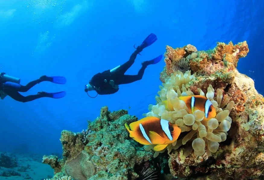 Daily Dalyan Diving Tour from Mugla – Delik Island & Vatoz Bay Dives — photo 3