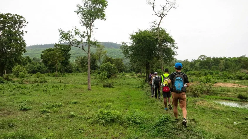 Zipline & Forest Trek Day Tour from Duzce