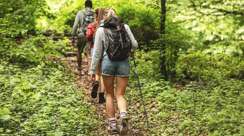 Zipline & Forest Trek Day Tour from Duzce — photo 2
