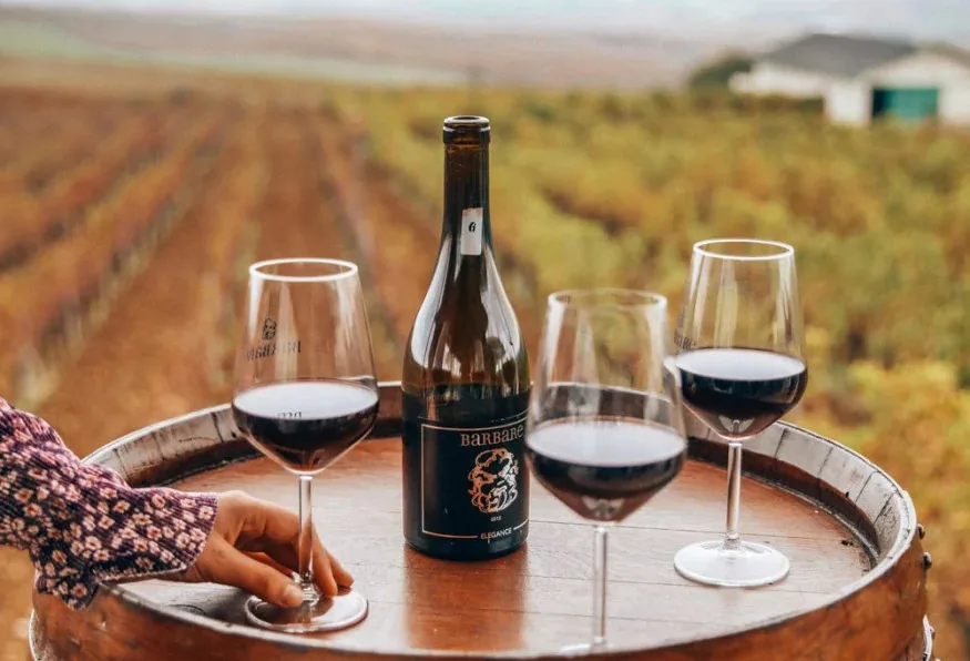 Daily Edirne Tekirdag Wine Tasting Tour