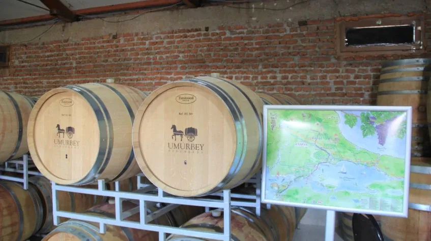 Daily Edirne Tekirdag Wine Tasting Tour — photo 3