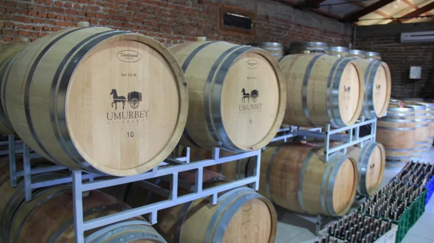 Daily Edirne Tekirdag Wine Tasting Tour — photo 5