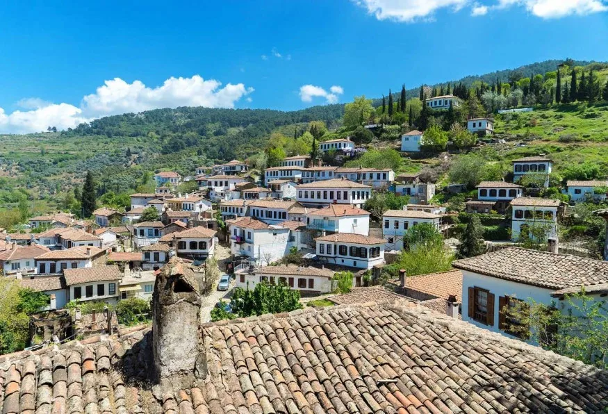 Daily Ephesus & Sirince Village Tour from Cesme